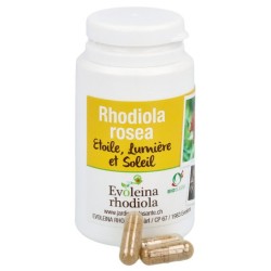 Rhodiola rosea Etoile, Lumière, Soleil, gélules